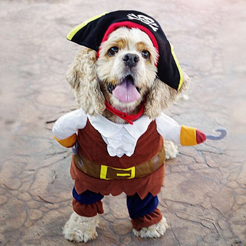 Funny Pirate Pet Costumes Pirate